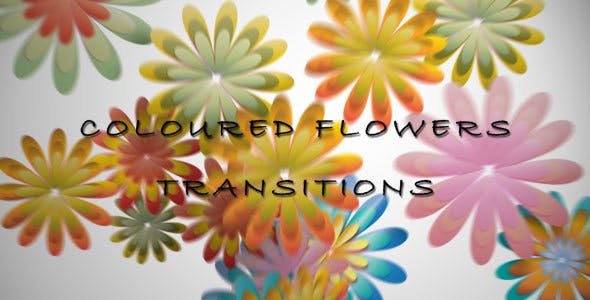 Coloured Flowers Transitions - Download 15305276 Videohive