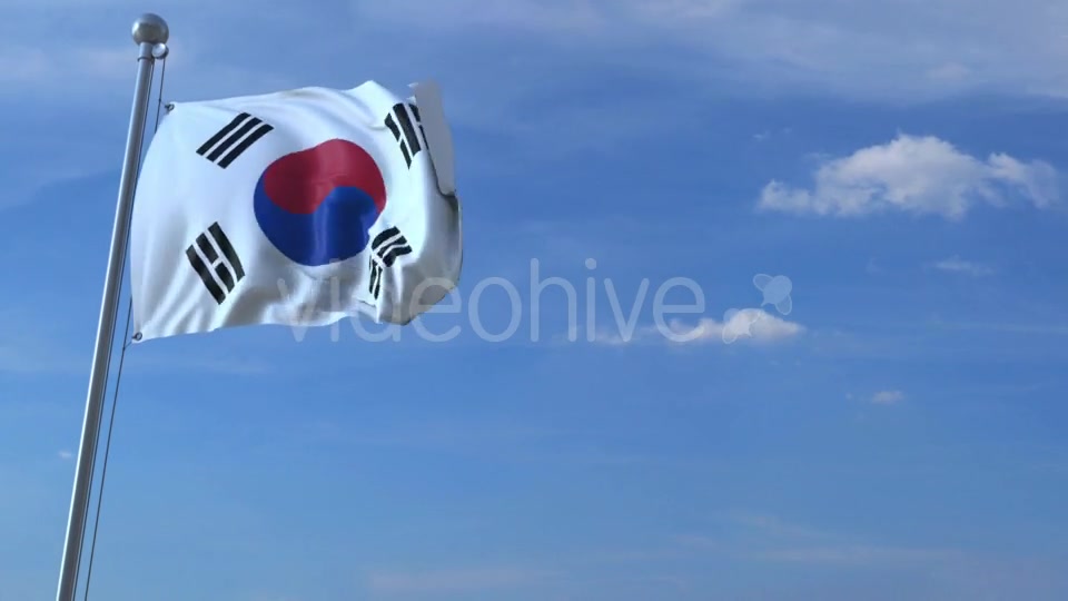 Commercial Airplane Landing Behind Waving Korean Flag Videohive 20536803 Motion Graphics Image 6