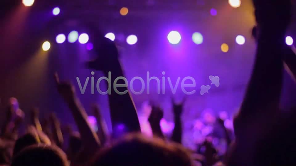 Concert Crowd Hands (5 Pack)  Videohive 7868050 Stock Footage Image 1