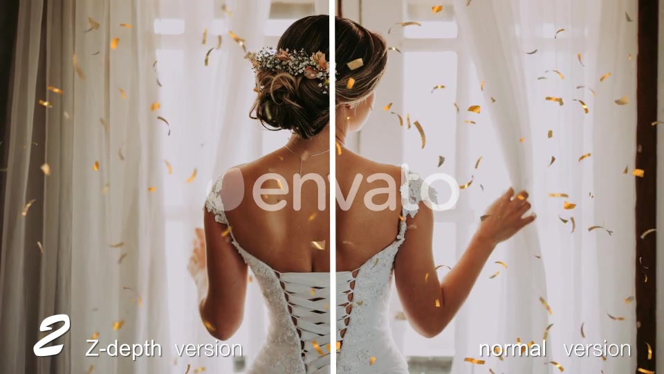 Confetti Videohive 23061608 Motion Graphics Image 4