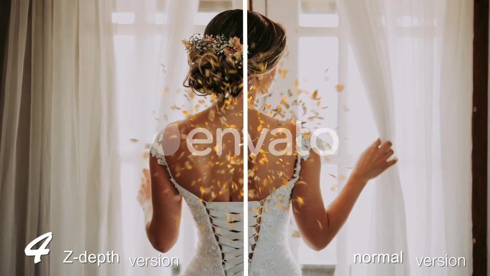 Confetti Videohive 23061608 Motion Graphics Image 7