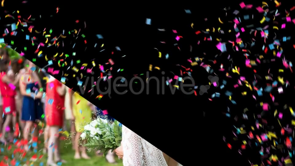 Confetti Videohive 19434707 Motion Graphics Image 7