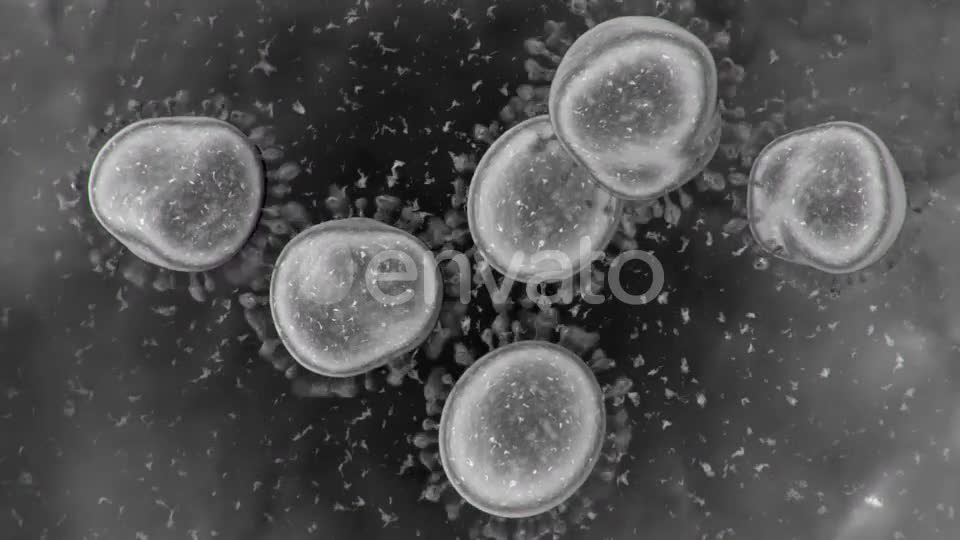 Corona Virus Microscopic View 4K Videohive 25909700 Motion Graphics Image 1
