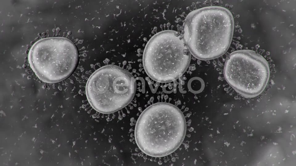 Corona Virus Microscopic View 4K Videohive 25909700 Motion Graphics Image 10