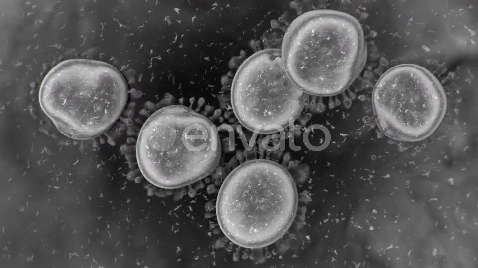 Corona Virus Microscopic View 4K Videohive 25909700 Motion Graphics Image 2