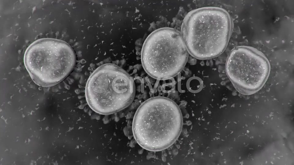 Corona Virus Microscopic View 4K Videohive 25909700 Motion Graphics Image 3