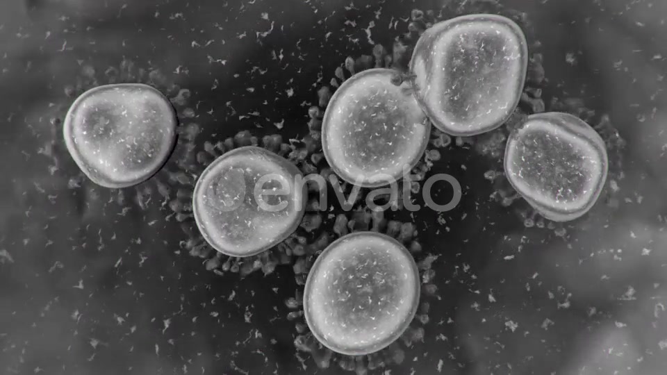 Corona Virus Microscopic View 4K Videohive 25909700 Motion Graphics Image 4