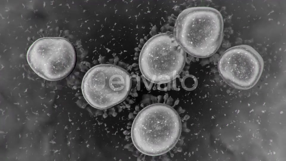 Corona Virus Microscopic View 4K Videohive 25909700 Motion Graphics Image 5