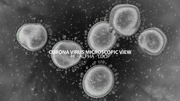 Corona Virus Microscopic View 4K - Download Videohive 25909700