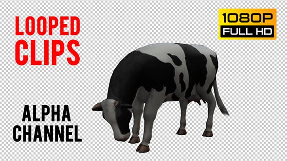 Cow Looped 2 - Videohive 20704696 Download