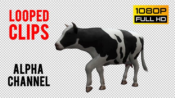 Cow Looped 3 - 20704705 Download Videohive