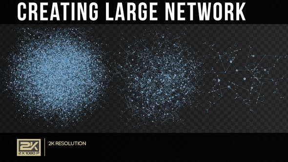 Creating Large Network - 22403798 Videohive Download