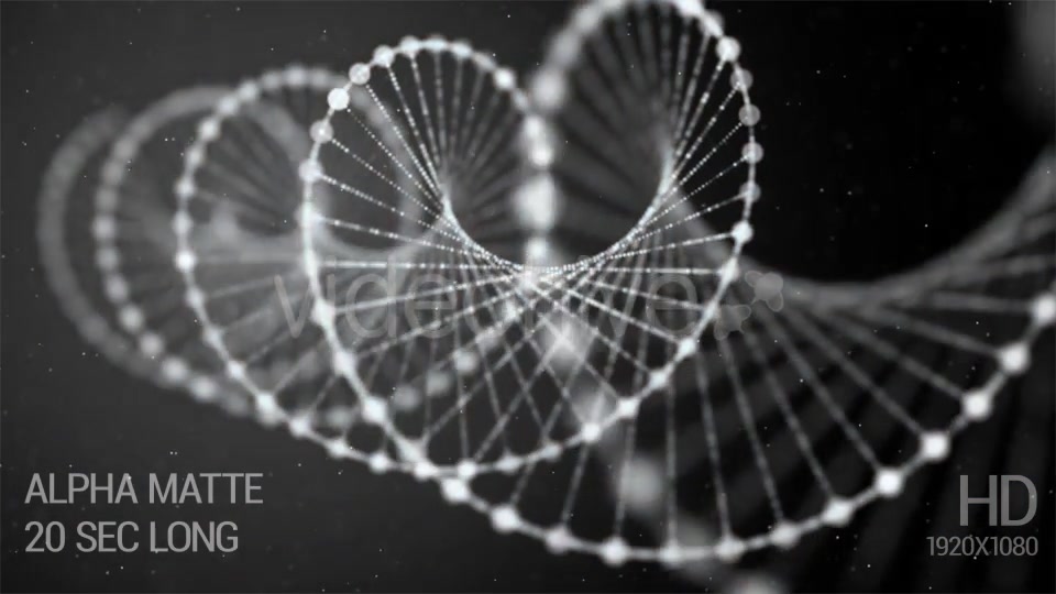 Creative Loopable Animation of DNA Videohive 17694995 Motion Graphics Image 3