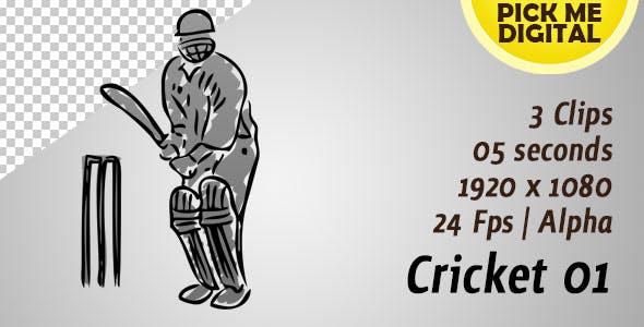 Cricket 01 - Videohive Download 20317965