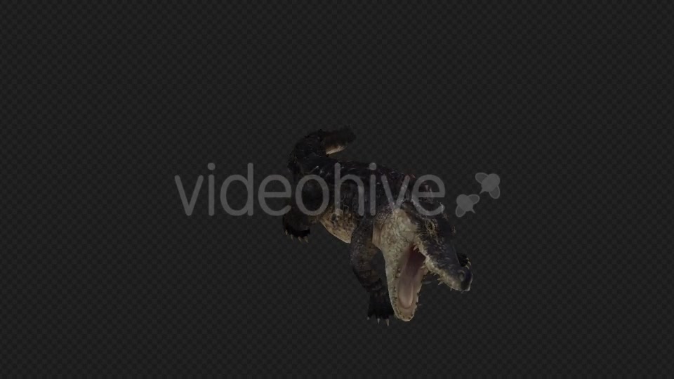 Crocodile Attack And Firing Pack 6 In 1 Videohive 19869061 Motion Graphics Image 4