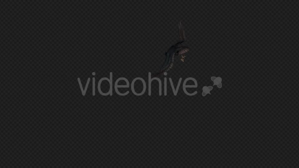 Crows Fly Idle Pack03 4 In 1 Videohive 19998807 Motion Graphics Image 1