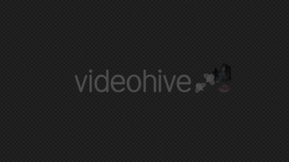 Crows Fly Idle Pack03 4 In 1 Videohive 19998807 Motion Graphics Image 11