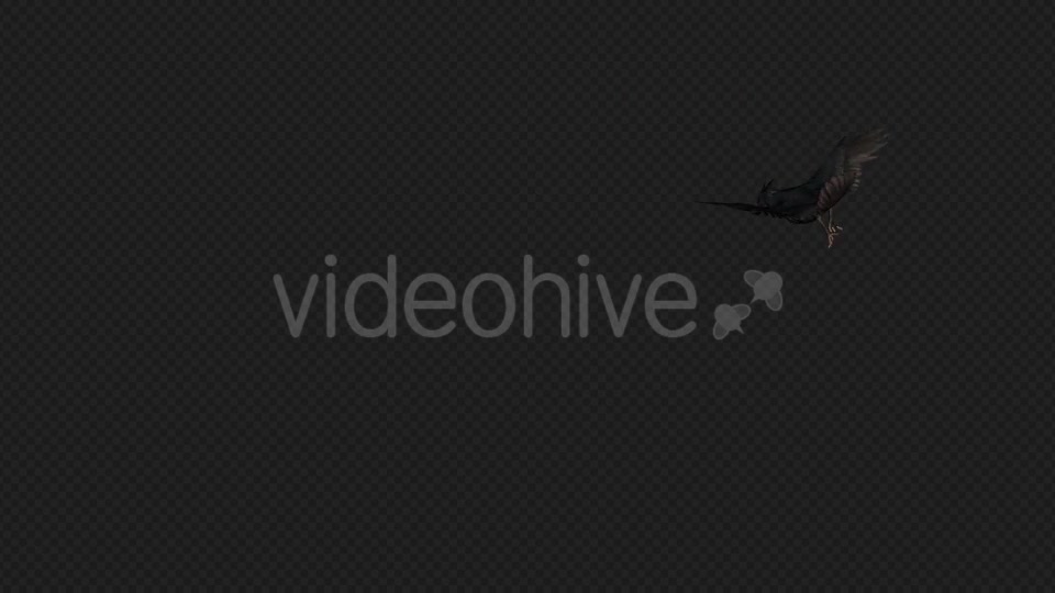 Crows Fly Idle Pack03 4 In 1 Videohive 19998807 Motion Graphics Image 9
