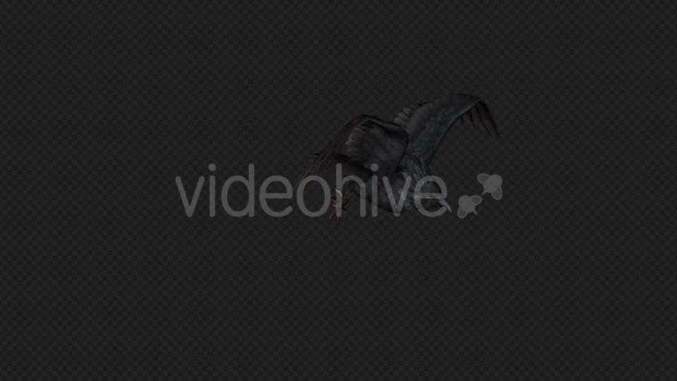 Crows Fly Run Pack 4 In 1 Videohive 19998816 Motion Graphics Image 5