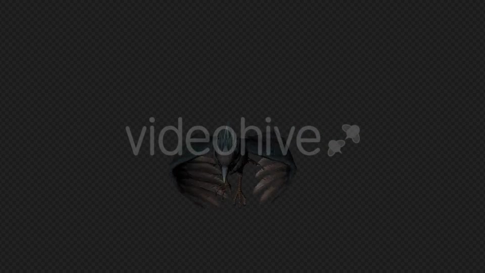 Crows Fly Walk Pack 4 In 1 Videohive 19998819 Motion Graphics Image 7