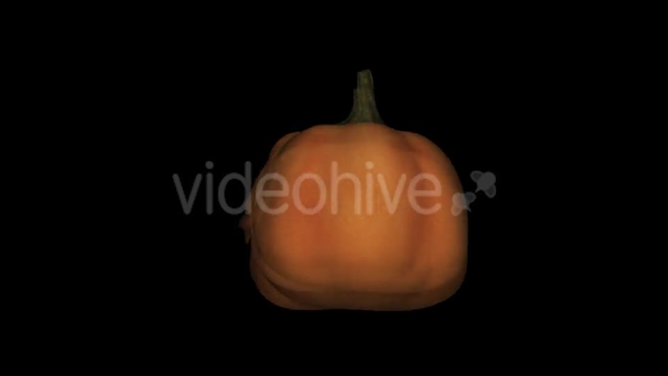 Dancing Pumpkin Videohive 13139397 Motion Graphics Image 11