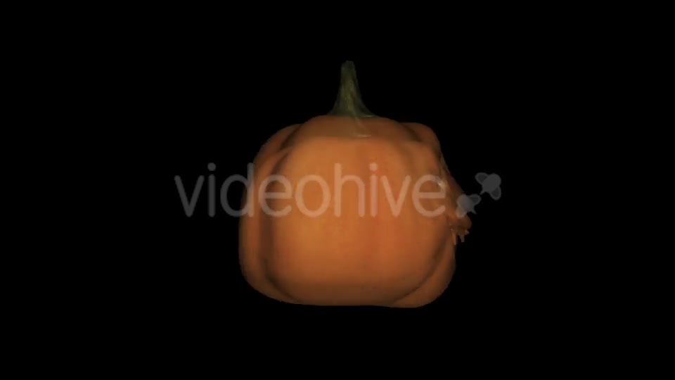 Dancing Pumpkin Videohive 13139397 Motion Graphics Image 2