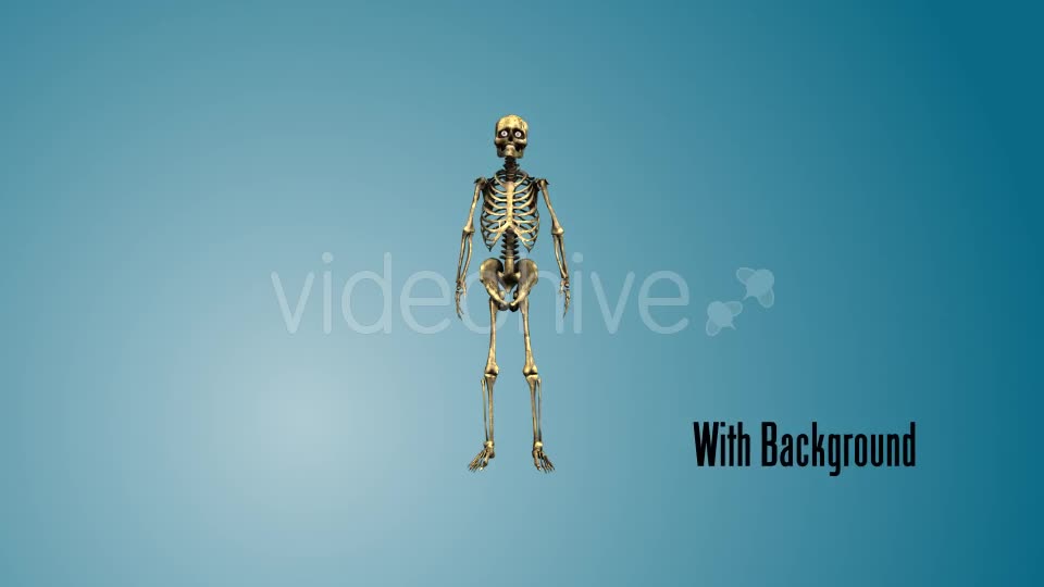 Dancing Skeleton 01 Videohive 19269220 Motion Graphics Image 1