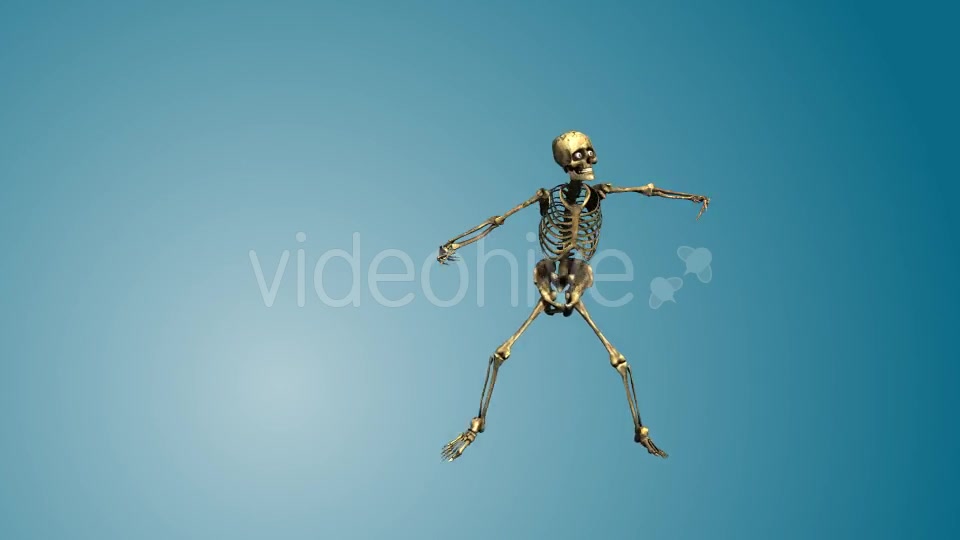 Dancing Skeleton 01 Videohive 19269220 Motion Graphics Image 11