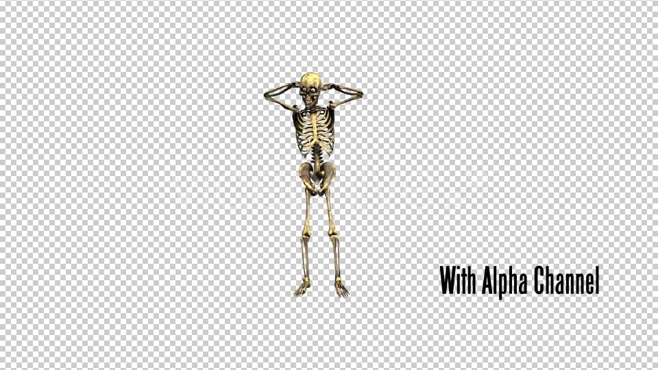 Dancing Skeleton 01 Videohive 19269220 Motion Graphics Image 13