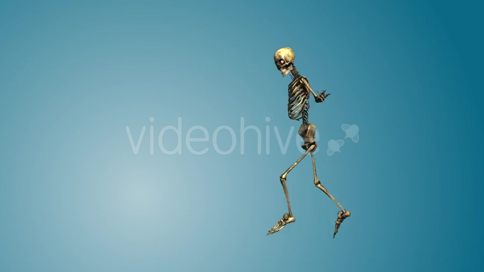 Dancing Skeleton 01 Videohive 19269220 Motion Graphics Image 4