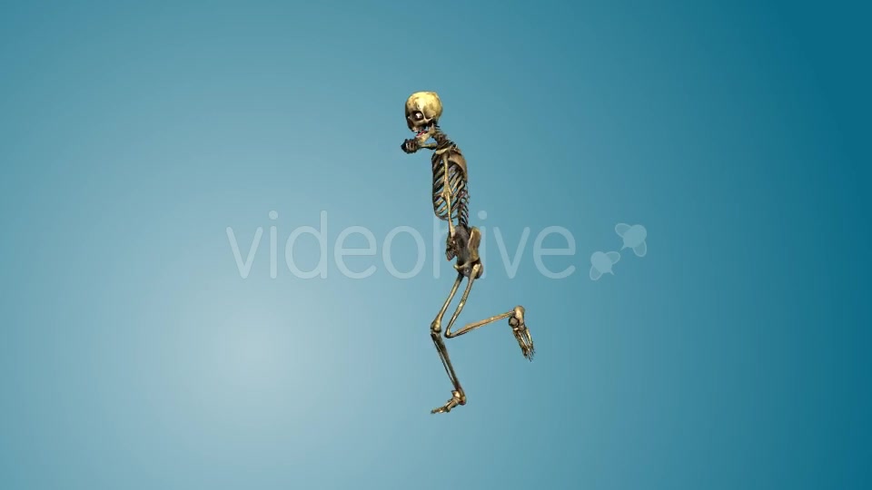 Dancing Skeleton 01 Videohive 19269220 Motion Graphics Image 5