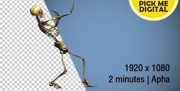 Dancing Skeleton 01 - Videohive Download 19269220