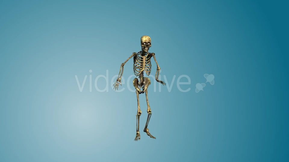 Dancing Skeleton 02 Videohive 19270417 Motion Graphics Image 10