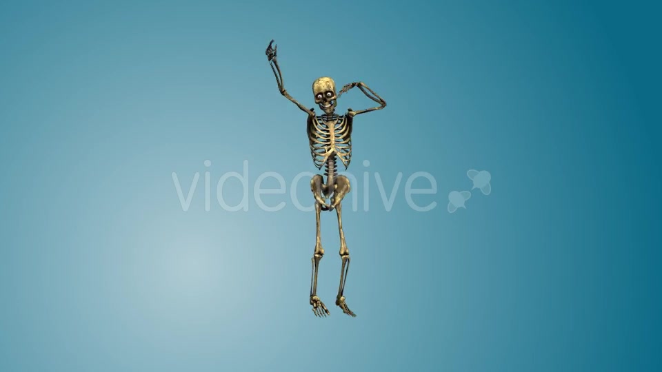 Dancing Skeleton 02 Videohive 19270417 Motion Graphics Image 11