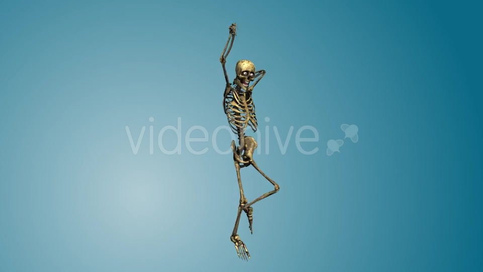 Dancing Skeleton 02 Videohive 19270417 Motion Graphics Image 3