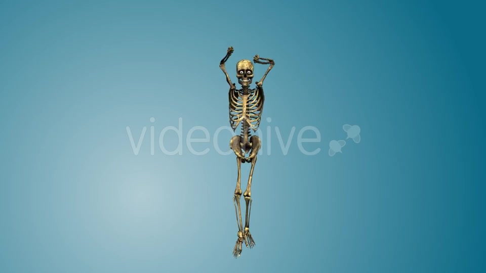 Dancing Skeleton 02 Videohive 19270417 Motion Graphics Image 5