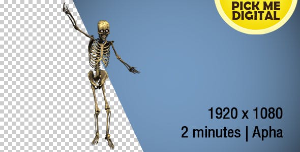 Dancing Skeleton 02 - Videohive Download 19270417