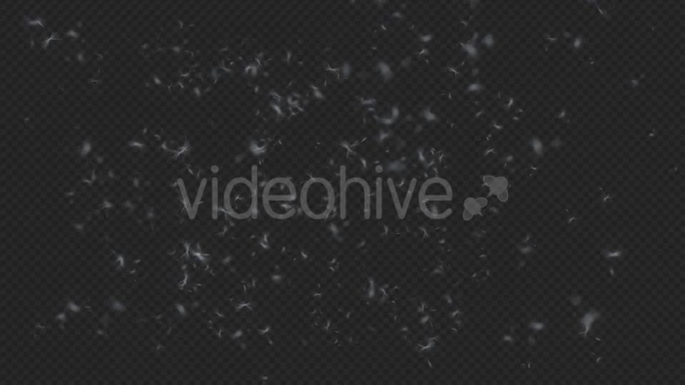 Dandelion Overlay Videohive 19739966 Motion Graphics Image 3