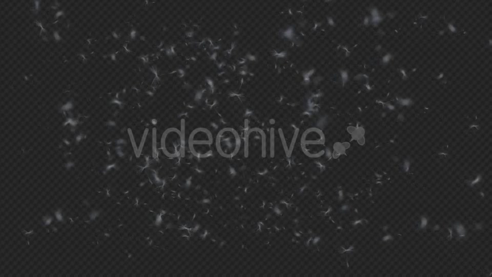 Dandelion Overlay Videohive 19739966 Motion Graphics Image 5
