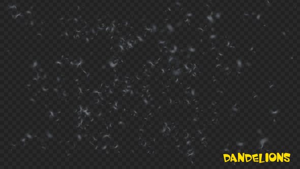 Dandelion Overlay - Download 19739966 Videohive