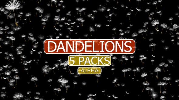 Dandelion Vol.1 - Videohive Download 24305822