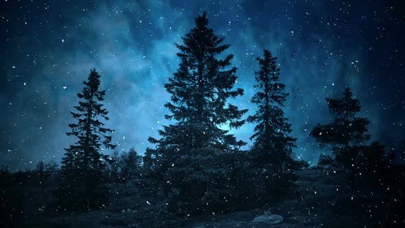 Dark Blue Winter Night Backgrounds - Download 25300647 Videohive