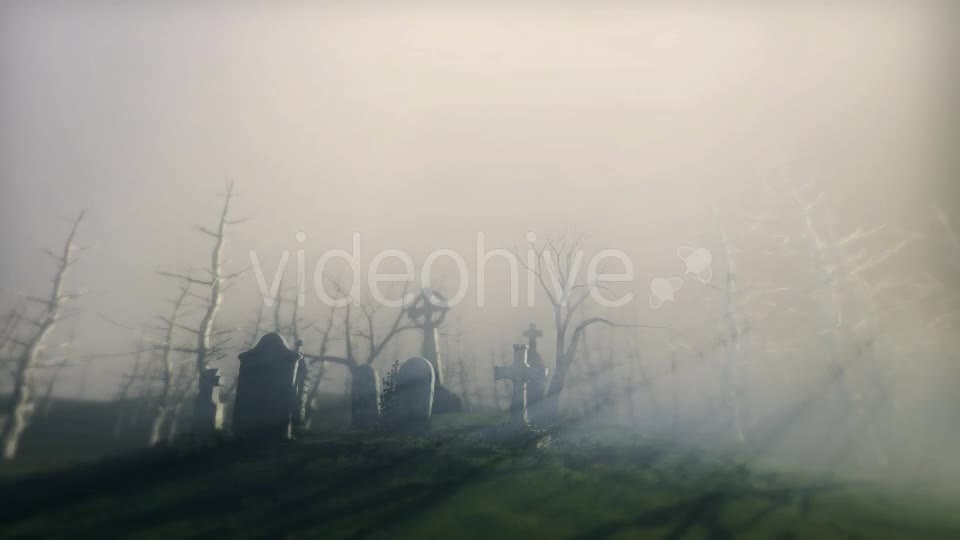 Dark Cemetery Videohive 18878084 Motion Graphics Image 1
