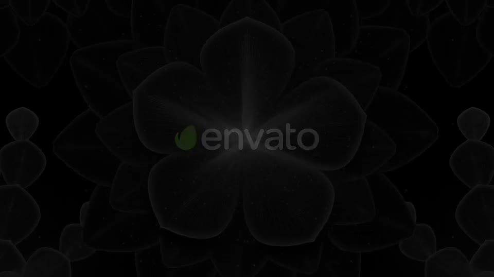 Dark Flower Videohive 21451330 Motion Graphics Image 10