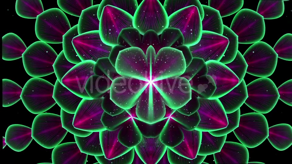 Dark Flower Videohive 21451330 Motion Graphics Image 4