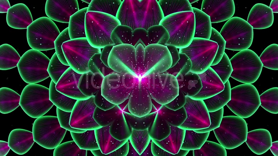 Dark Flower Videohive 21451330 Motion Graphics Image 5