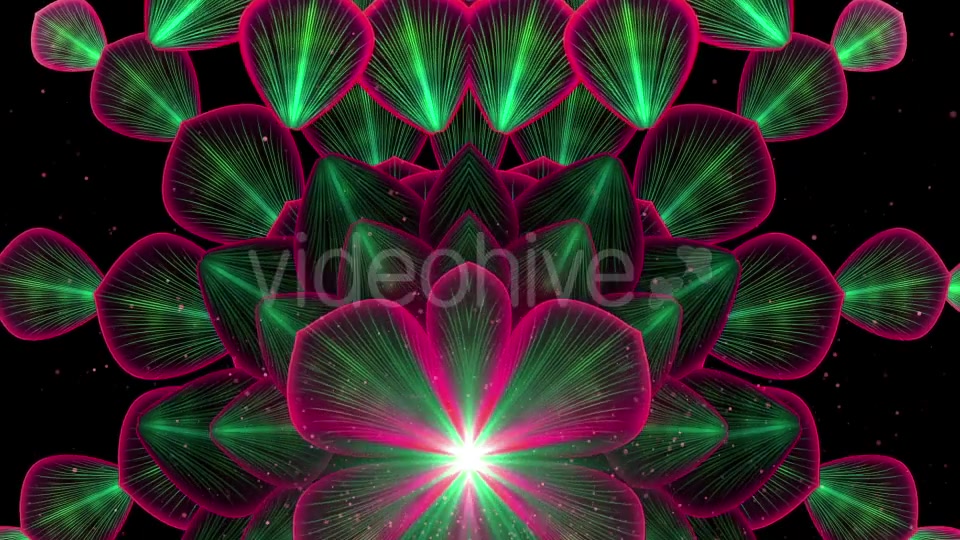 Dark Flower Videohive 21451330 Motion Graphics Image 8