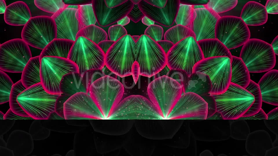 Dark Flower Videohive 21451330 Motion Graphics Image 9