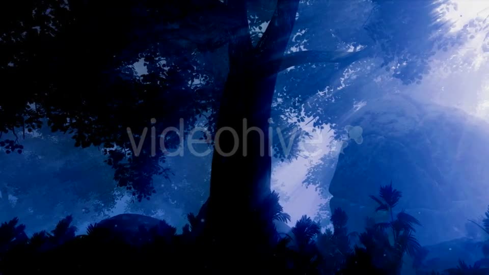 Dark Forest Landscape at Night Videohive 19061329 Motion Graphics Image 1