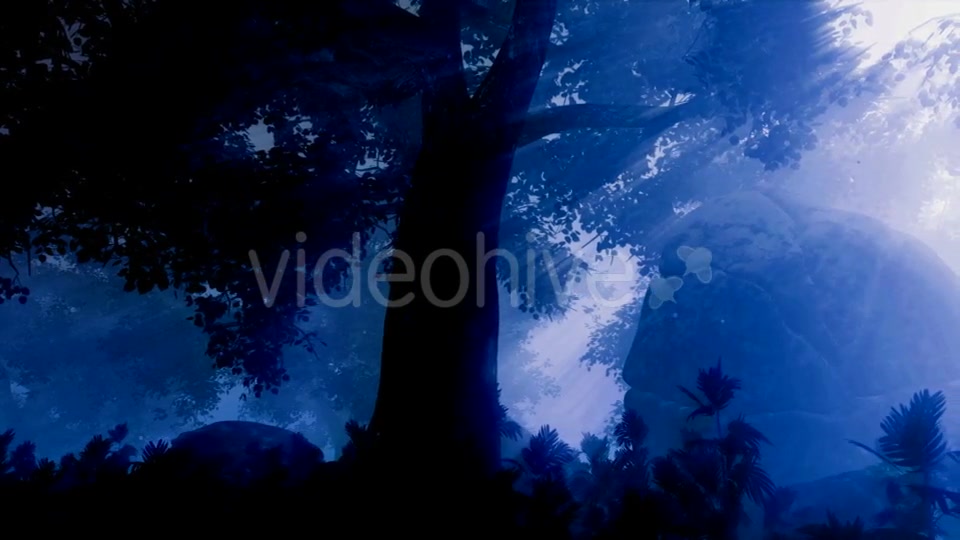 Dark Forest Landscape at Night Videohive 19061329 Motion Graphics Image 2